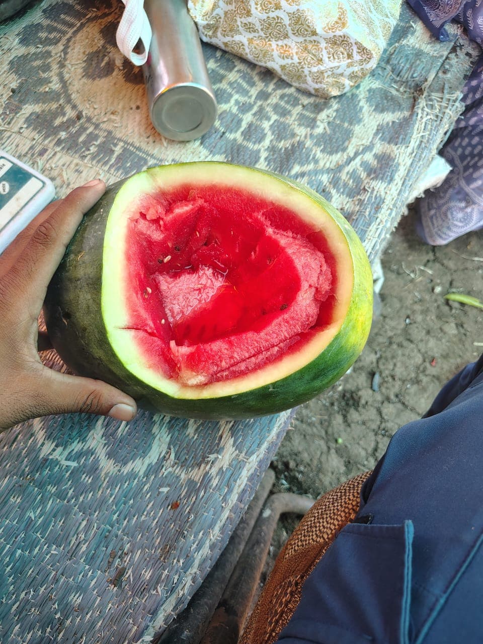 Telang logo - Agricultural Supplier in India