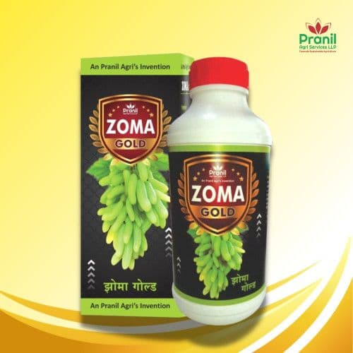 ZOMA GOLD - 1 LITER