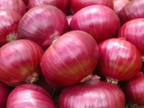 Vijay Laxman Shinde logo - Agricultural Supplier in India