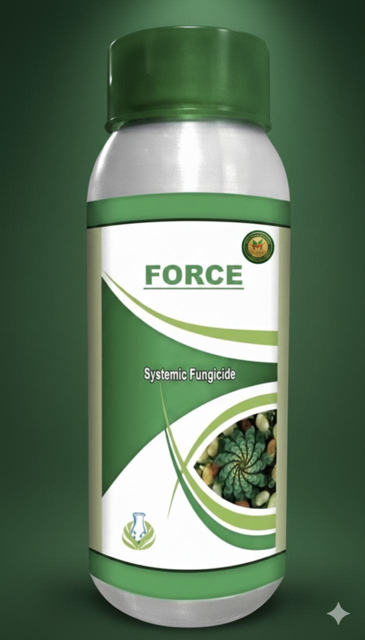 FORCE
