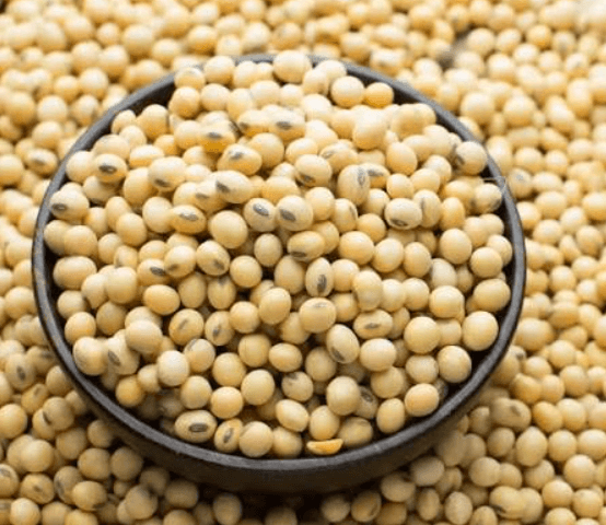 Swami Soyabean Trader logo - Agricultural Supplier in India