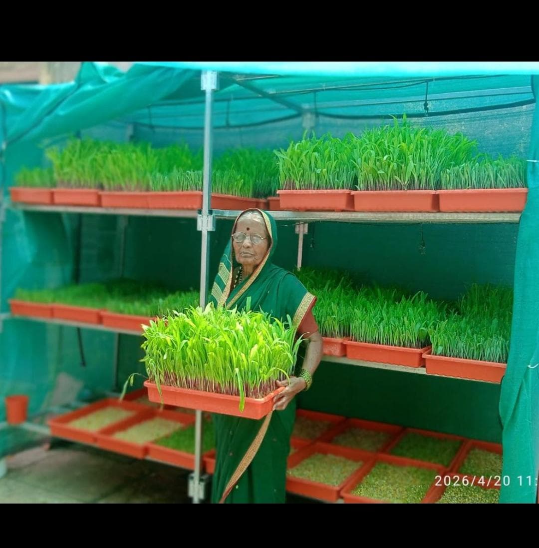Hydroponic