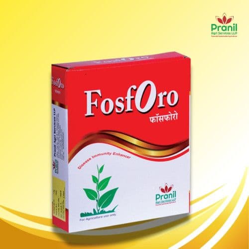 FOSFORO - 1 KG