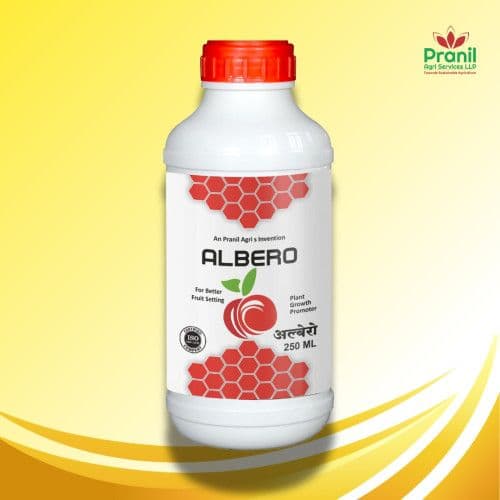 ALBERO - 1 LITER
